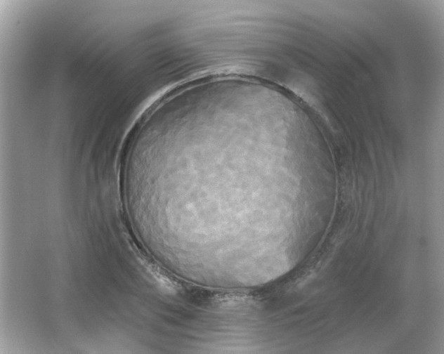X0000066930886200603271108
