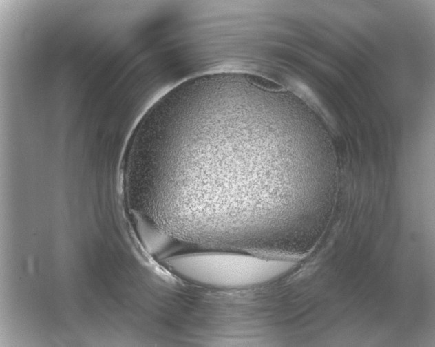 X0000066930900200603271108