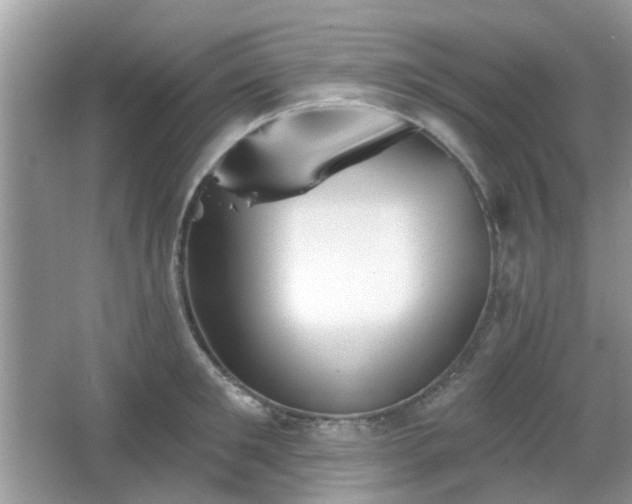 X0000066930901200603271108