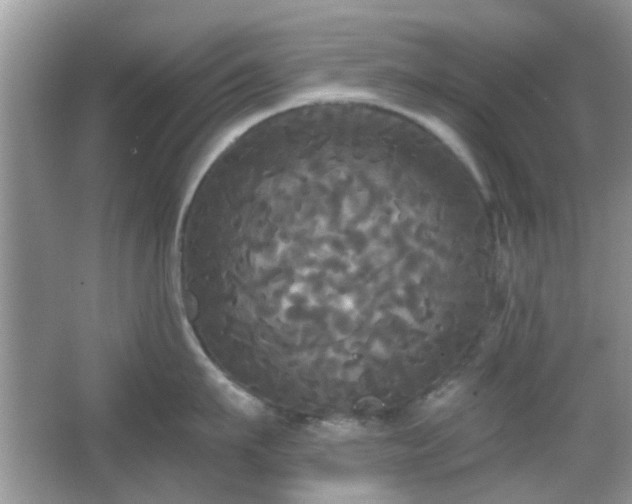 X0000066930911200603271108
