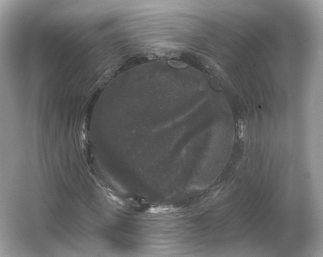 X0000066930915200603271107