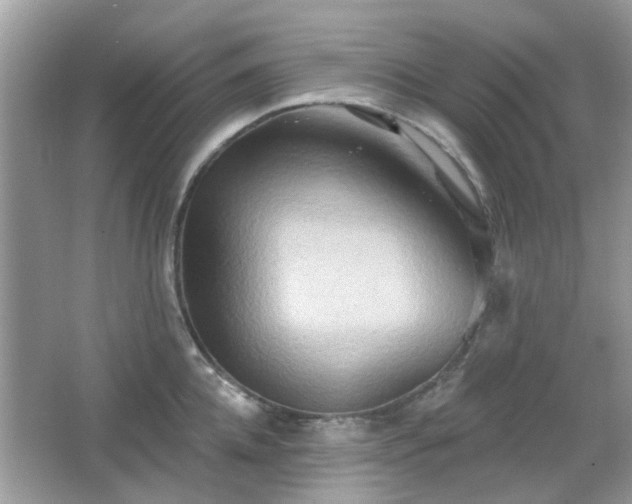 X0000066930952200603271108