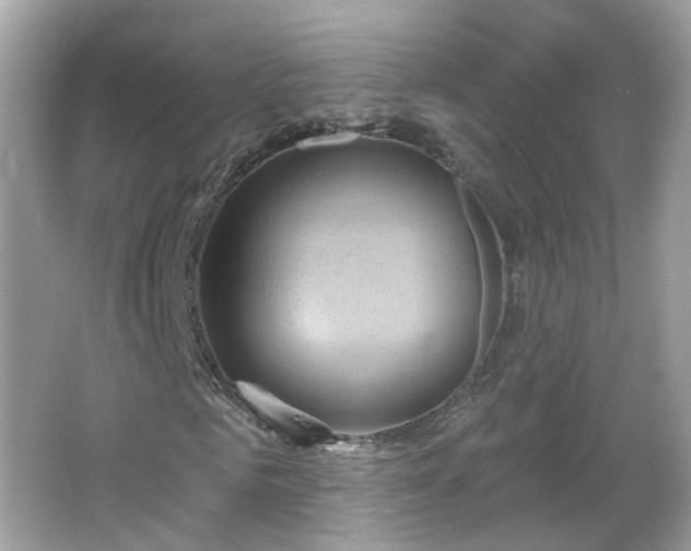X0000066930961200603271107