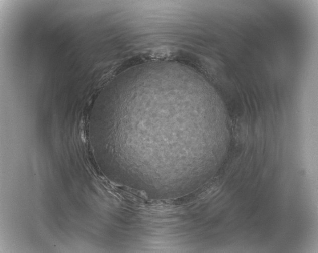 X0000066930962200603271107