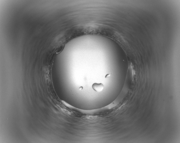 X0000066930964200603271107
