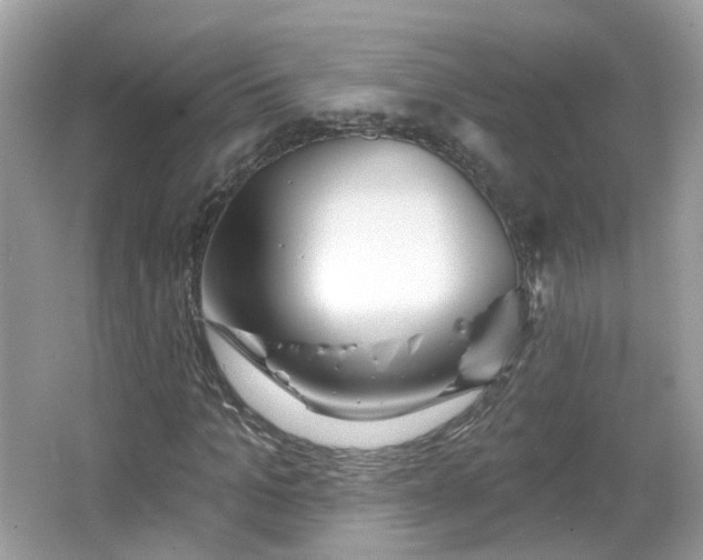 X0000066930965200603271107