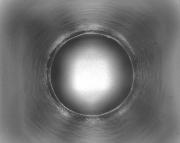 X0000066930978200603271107