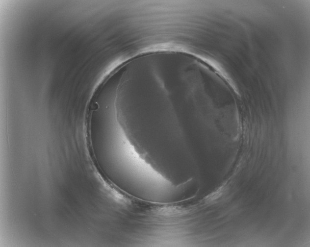 X0000066930998200603271106