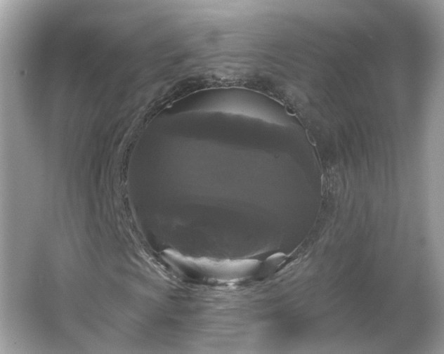 X0000066931009200603271105