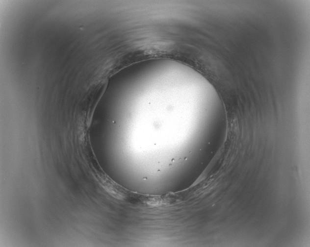 X0000066931012200603271105