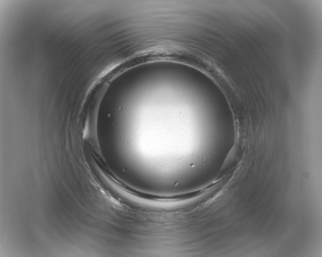 X0000066931018200603271105