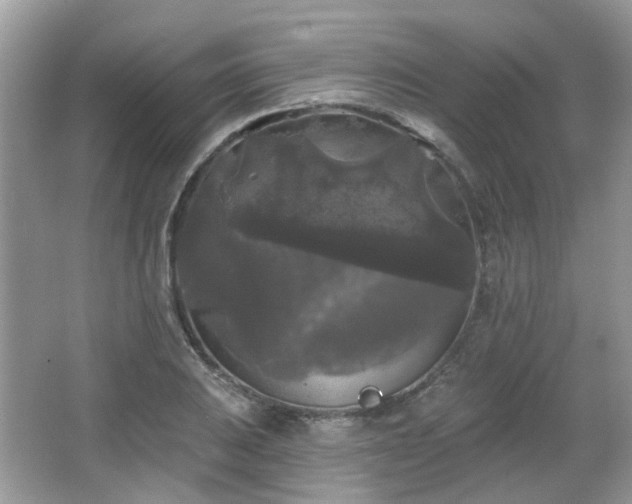 X0000066931031200603271106
