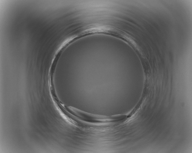 X0000066931034200603271106