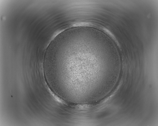 X0000066931041200603271106