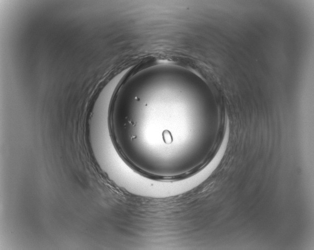 X0000066931057200603271105