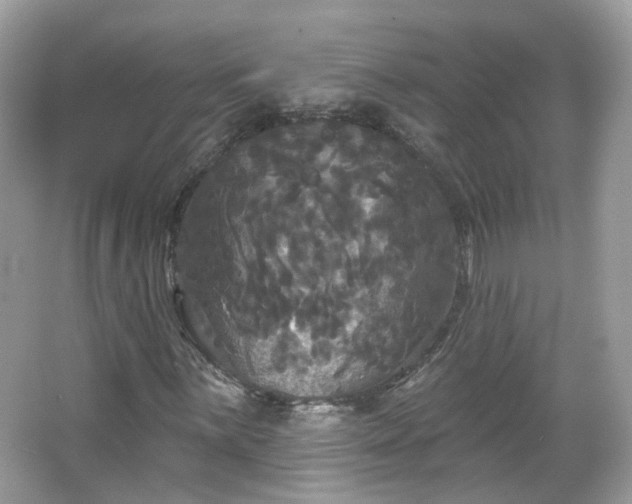X0000066931059200603271105