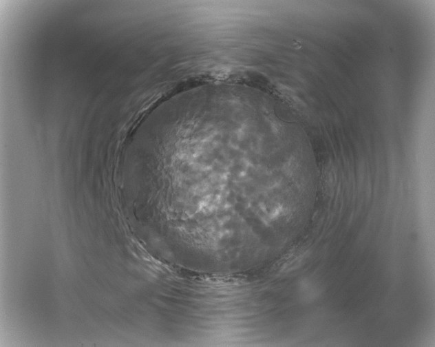 X0000066931105200603271104