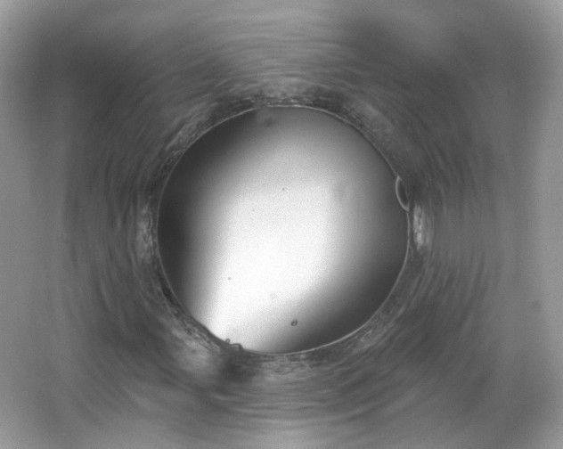 X0000066931107200603271104