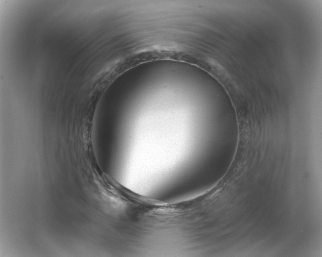 X0000066931110200603271104