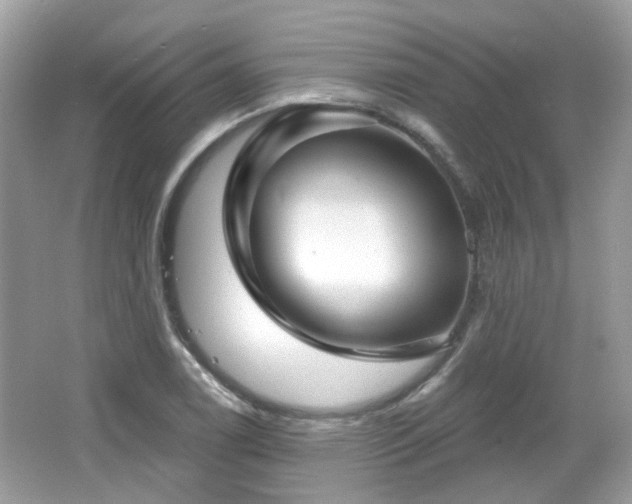 X0000066931122200603271104