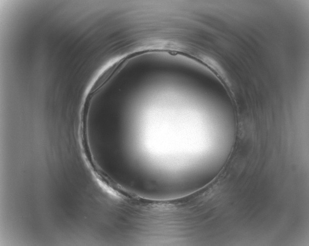 X0000066931136200603271104