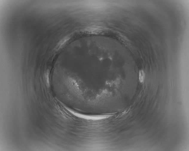 X0000066931155200603271104
