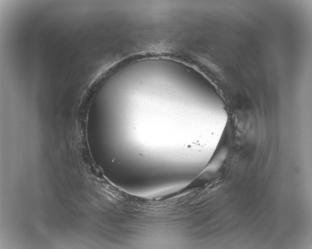 X0000066931160200603271104