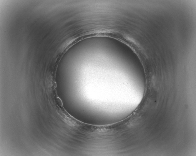 X0000066931169200603271103