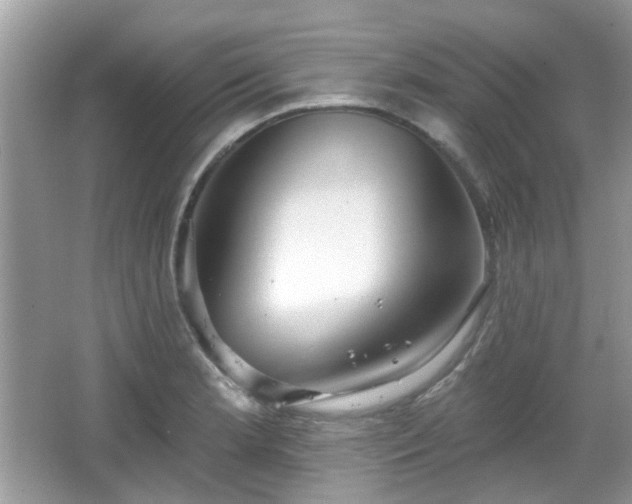 X0000066931181200603271103