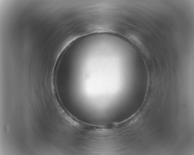X0000066931182200603271103