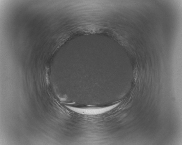 X0000066931202200603271102