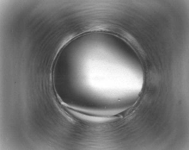X0000066931234200603271103