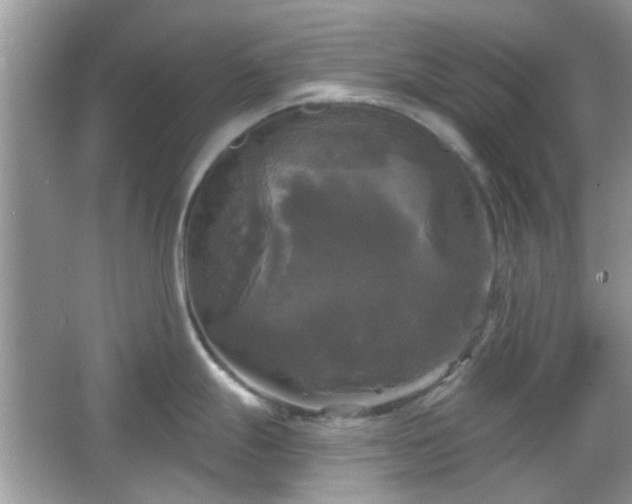 X0000066931247200603271103