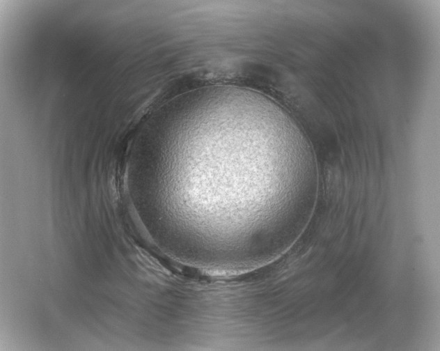 X0000066931250200603271102