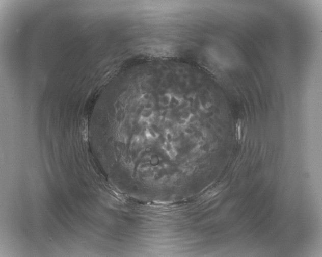 X0000066931251200603271102