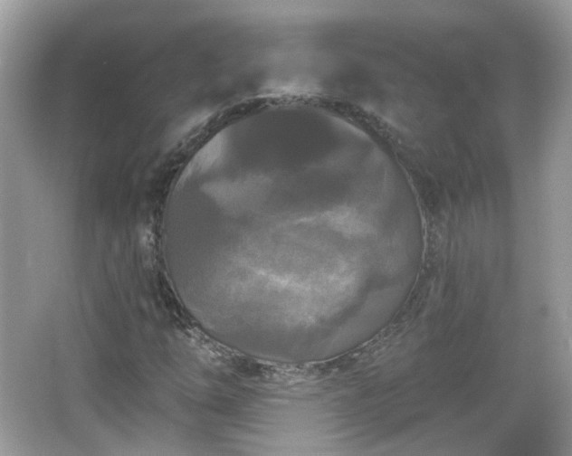 X0000066931254200603271102