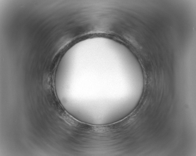 X0000066931258200603271102