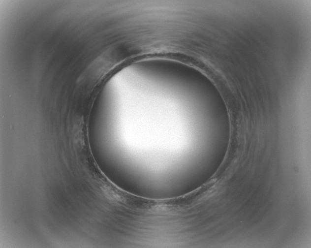 X0000066931265200603271102