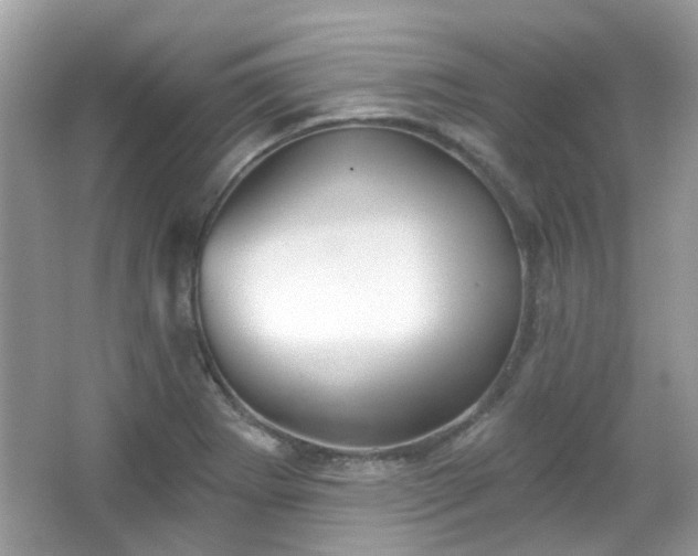X0000066931273200603271102