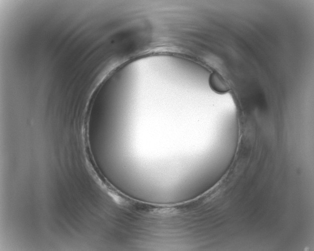 X0000066931282200603271102