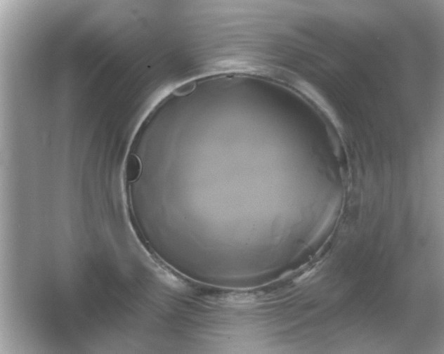 X0000066931291200603271101