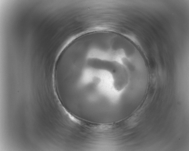 X0000066931294200603271101