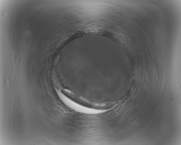 X0000066931297200603271100