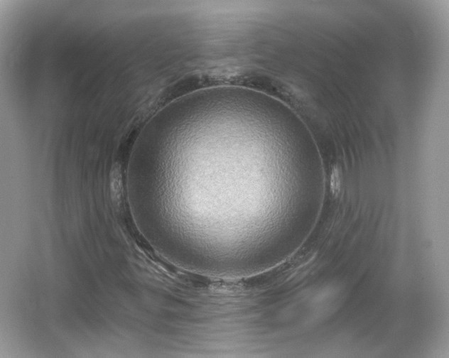 X0000066931299200603271101