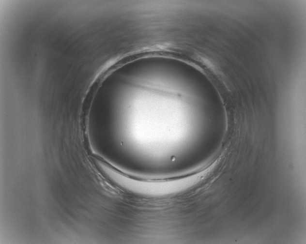 X0000066931308200603271101