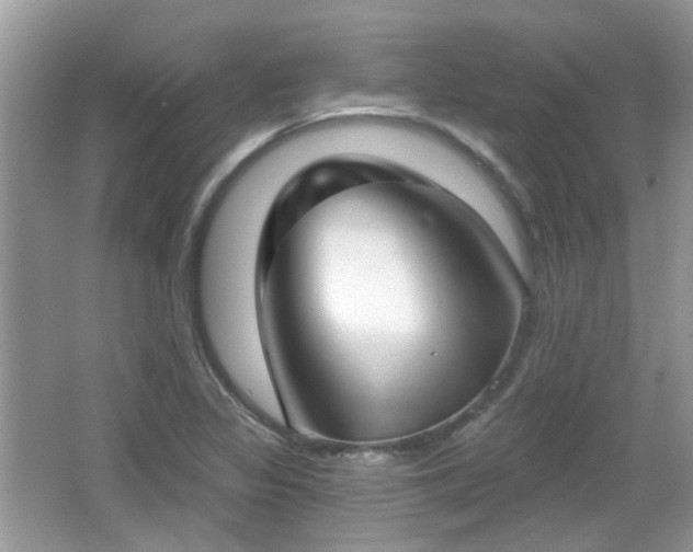 X0000066931317200603271101