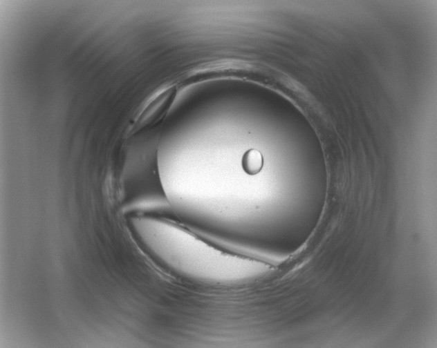 X0000066931321200603271101