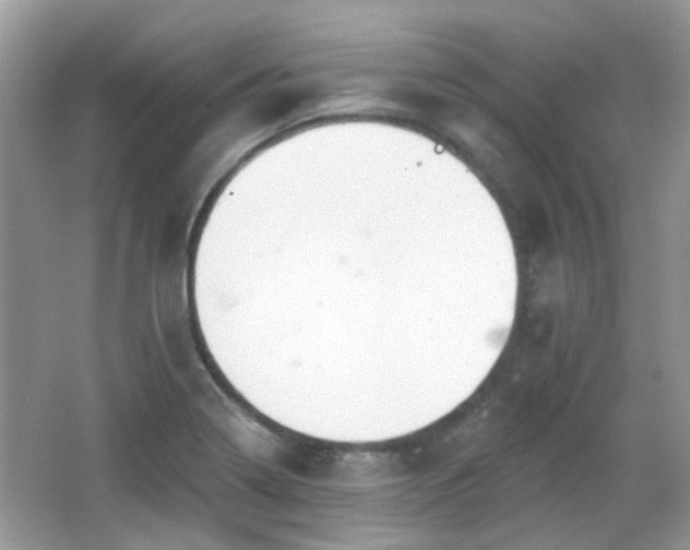 X0000066931322200603271101