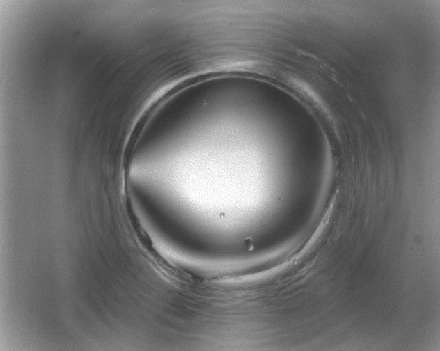 X0000066931324200603271101
