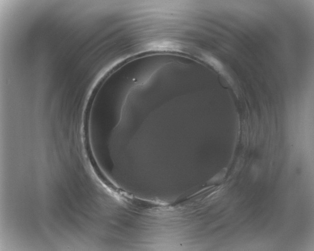 X0000066931331200603271101